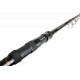 LEGACY TELECARP