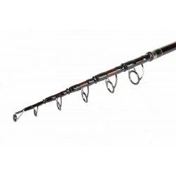 LEGACY TELECARP